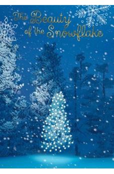 DaySpring The Beauty of the Snowflake - Premium 5-Pannel Christmas Cards - 18 Christmas Boxed Cards & Envelopes, NIV