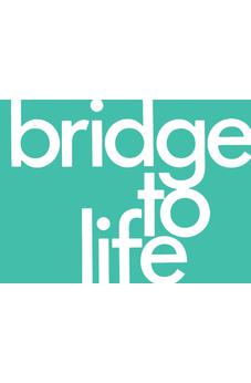 Bridge to Life (green) 25-pack