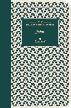 NLT Filament Bible Journal: John (Softcover) 9781496458575