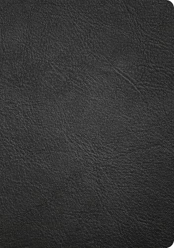 CSB Baker Illustrated Study Bible, Black Genuine Leather, Red Letter, Full Color Interior, Study Note Commentary, Articles, Images, 9798384540199