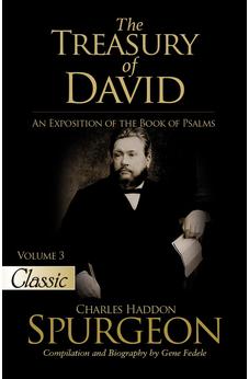 The Treasury of David: An Exposition of the Book of Psalms Volume 3 Psalms 28-41 9781610369893