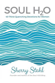 Soul H2O: 40 Thirst Quenching Devotions for Women 9781486613526