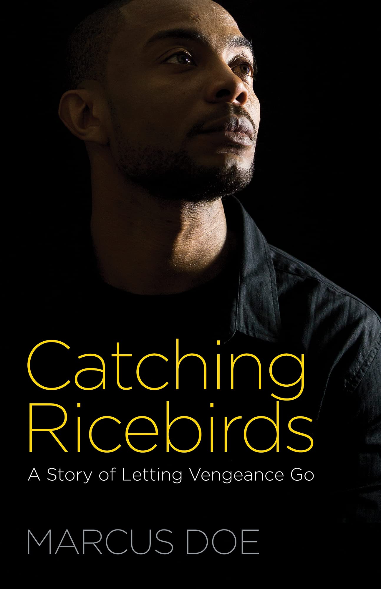 Catching Ricebirds: A Story of Letting Vengeance Go 9781619708259