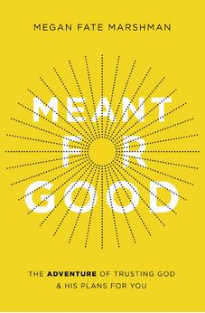 Meant for Good: The Adventure of Trusting God and His Plans for You 9780310358244