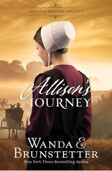 Allison's Journey: Volume 4 (Brides of Webster County) Book 4 of 4 9798891510999