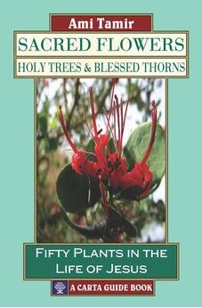 Sacred Flowers, Holy Trees, & Blessed Thorns: Fifty Plants in the Life of Jesus 9789652208798