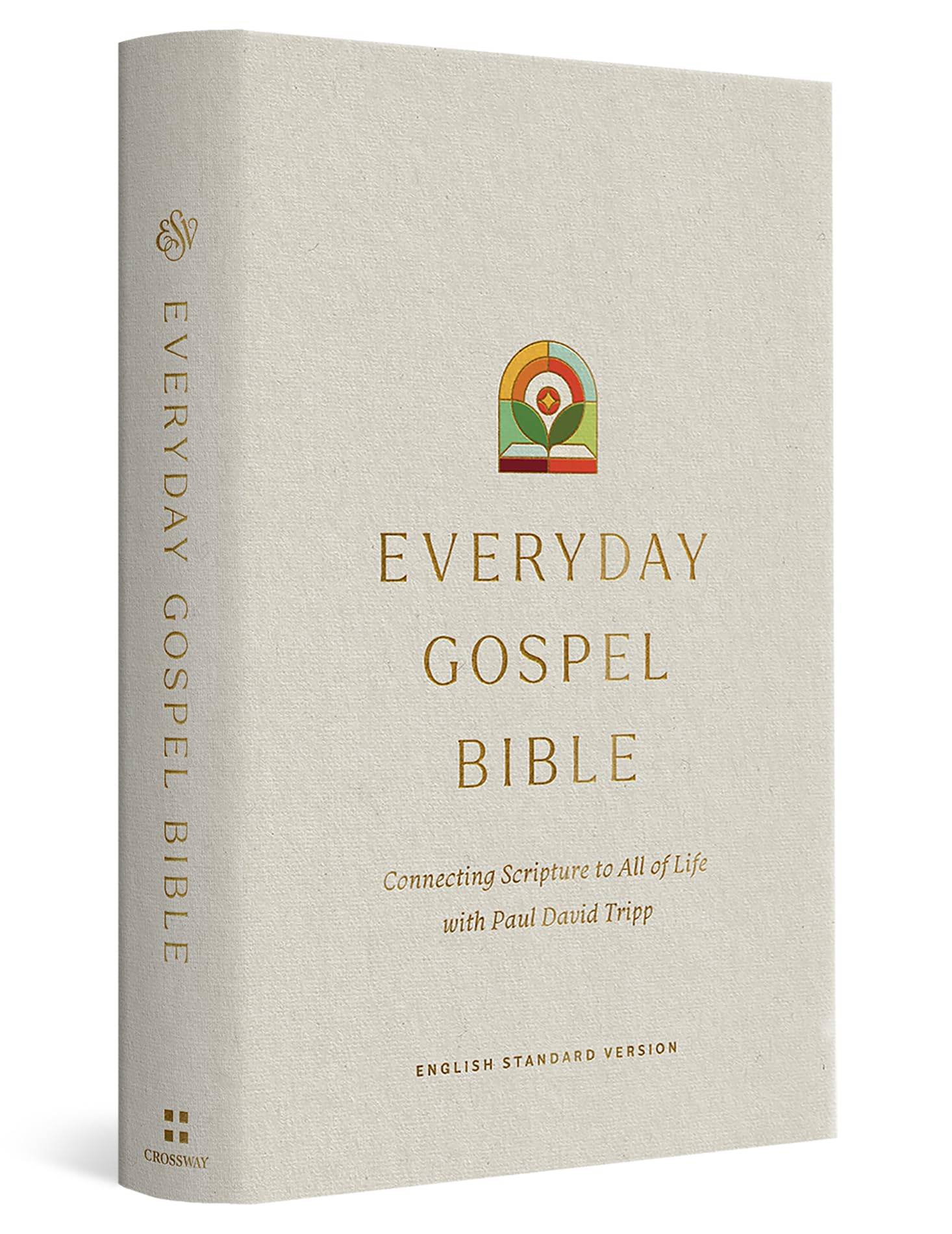 ESV Everyday Gospel Bible: Connecting Scripture to All of Life (Hardcover) 9781433595691