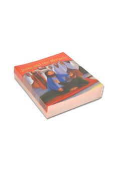 Jesus and the Miracle: Pack of 10 (Bible Story Time) 9780745978574