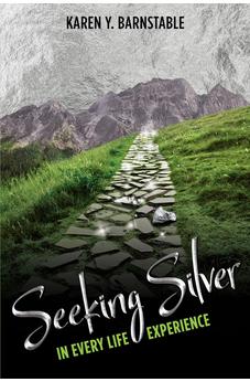 Seeking Silver:: In Every Life Experience 9781988928272