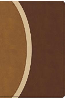 CSB Rainbow Study Bible, Brown LeatherTouch (Limited Edition), Full-Color Design, Black Letter, Color-Coded Reading Plan, Easy-to-Read Bible Serif Type