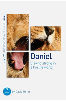 Daniel: Staying strong in a hostile world (Good Book Guides) 9781910307328