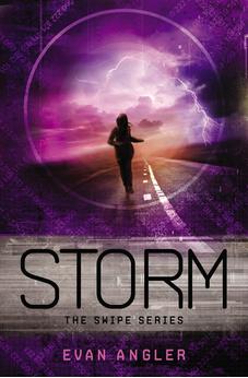 Storm (Swipe Series Book 3) 9781400321971