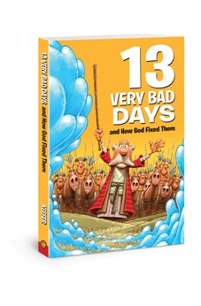 13 Very Bad Days and How God Fixed Them (Small Group Solutions for Kids) 9780784721223
