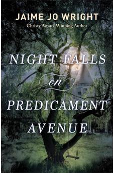 Night Falls on Predicament Avenue 9780764241451