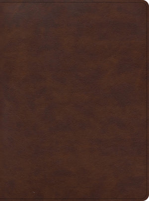 CSB Apologetics Study Bible for Students, Brown LeatherTouch, Black Letter, Teens, Study Notes and Commentary, Ribbon Marker, Sewn Binding, Easy-to-Read Bible Serif Type