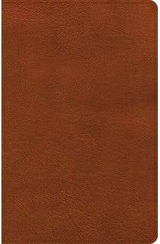 NASB Large Print Thinline Bible, Burnt Sienna LeatherTouch, Black Letter, Presentation Page, Footnotes, Full-Color Maps, Easy-to-Read Bible Karmina Type