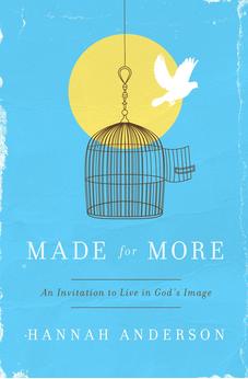 Made for More: An Invitation to Live in God's Image 9780802410320