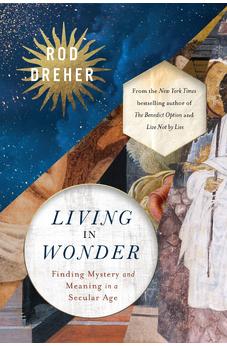 Living in Wonder: Finding Mystery and Meaning in a Secular Age 9780310369127