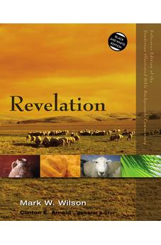 Revelation (Zondervan Illustrated Bible Backgrounds Commentary) 9780310523093