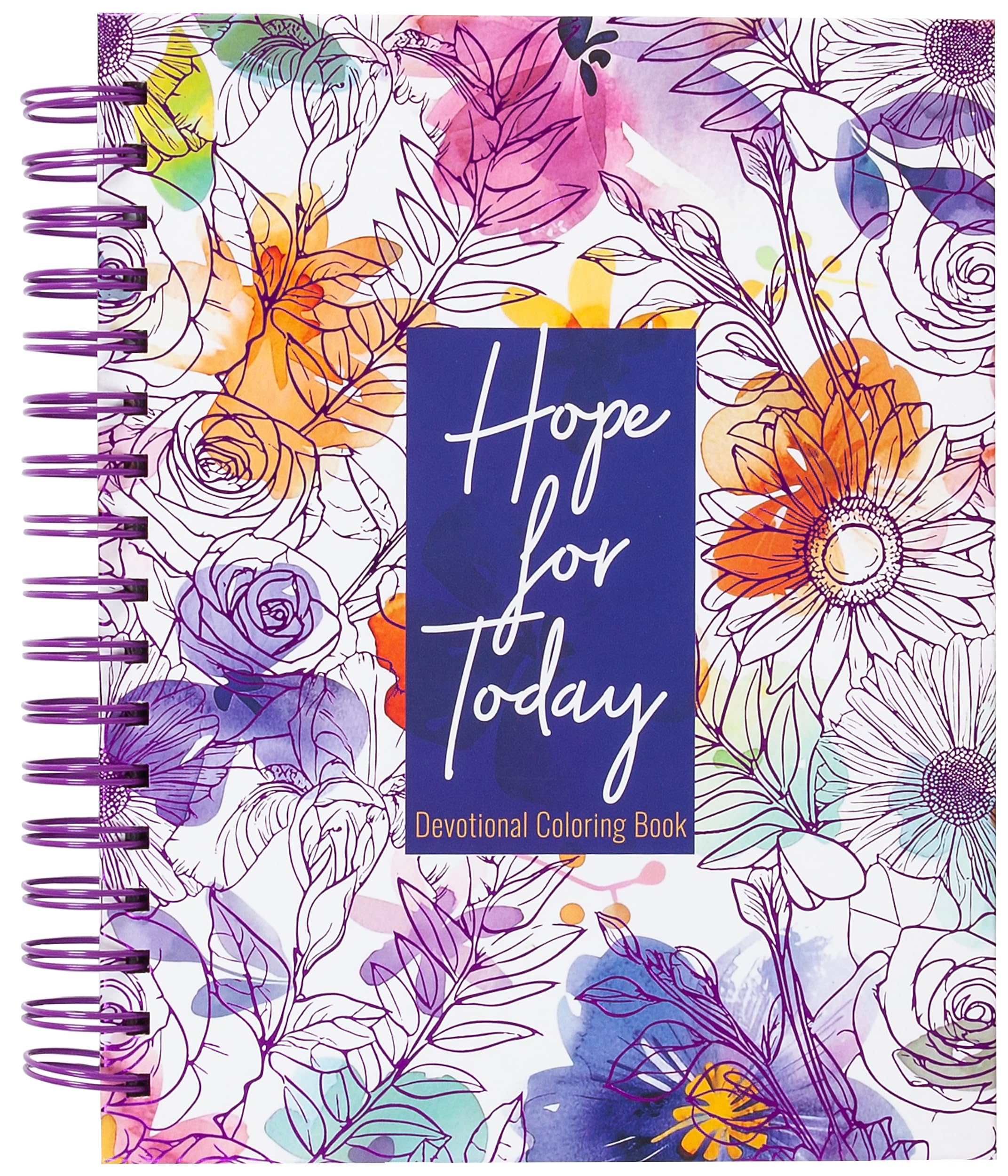 Hope for Today: Devotional Coloring Book 9781424571024