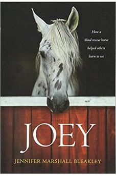 Joey: How a Blind Rescue Horse Helped Others Learn to See 9781496421753