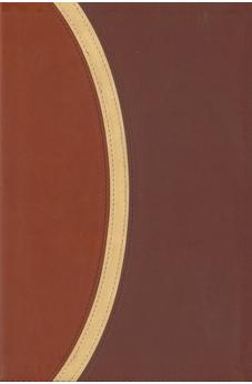 CSB Rainbow Study Bible, Brown LeatherTouch