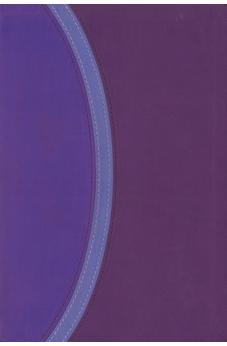 CSB Rainbow Study Bible, Two Tone Purple LeatherTouch