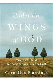 Under the Wings of God 9781540966179