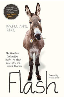 Flash: The Homeless Donkey Who Taught Me about Life, Faith, and Second Chances (Flash the Donkey) 9781414397849