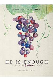 He is Enough: Living in the Fullness of Jesus (A Study in Colossians) 9780802416865