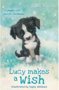 Lucy Makes a Wish 9780192772480