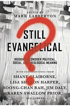 Still Evangelical?: Insiders Reconsider Political, Social, and Theological Meaning 9780830845378