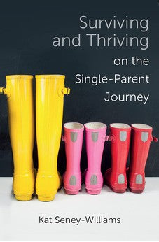 Surviving and Thriving on the Single-Parent Journey: A Step-by-Step Approach 9780745980584