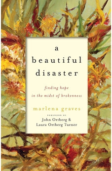 A Beautiful Disaster: Finding Hope in the Midst of Brokenness 9781587433412