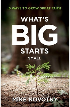 What's Big Starts Small: 6 Ways to Grow Great Faith 9780764240034