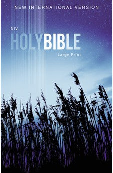NIV Outreach Bible Large Print Paperback 9780310446378