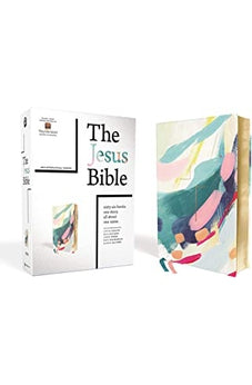 NIV The Jesus Bible Artist Edition Leathersoft Multi-color/Teal Comfort Print 9780310454465