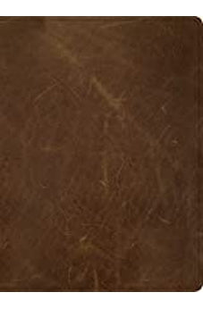 CSB Men of Character Bible, Brown Genuine Leather
