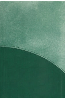 CSB Rainbow Study Bible, Leathertouch, Forest Green 9781087755335