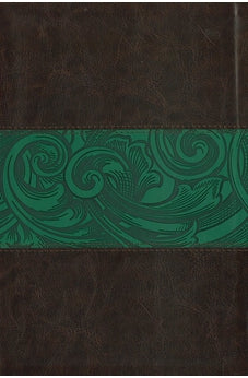 CSB Rainbow Study Bible Green Leathertouch Indexed