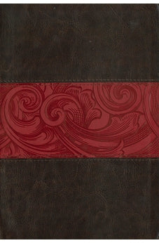 CSB Rainbow Study Bible, Wine Leathertouch indexed