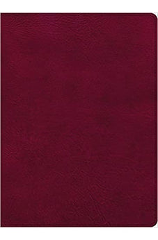 CSB Holy Land Illustrated Bible, Burgundy LeatherTouch, Indexed, Black Letter